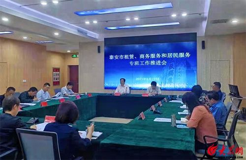 泰安市租賃、商務(wù)服務(wù)和居民服務(wù)專班工作推進(jìn)會(huì)召開 聚焦軟件開發(fā)與應(yīng)用